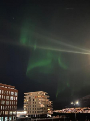 Northern Lights Paradise in Tromsø
